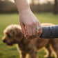 The family cirle ring