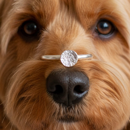Pets nose print dot ring