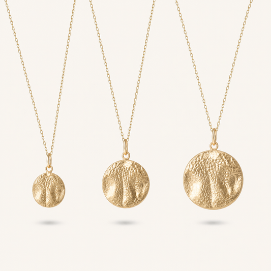 Personalized Dog or cat nose Necklace