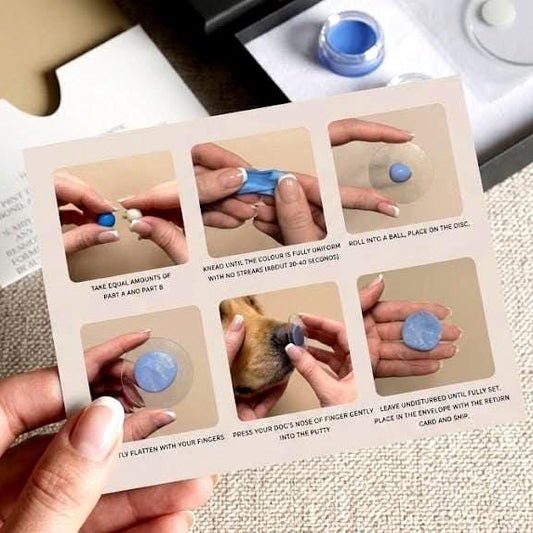 Silicone putty Impression Kit for Fingerprint Jewellery Orders